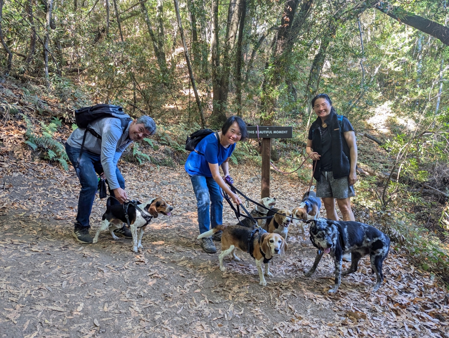 Marbles and the Tri-Tones at Villa Montalvo