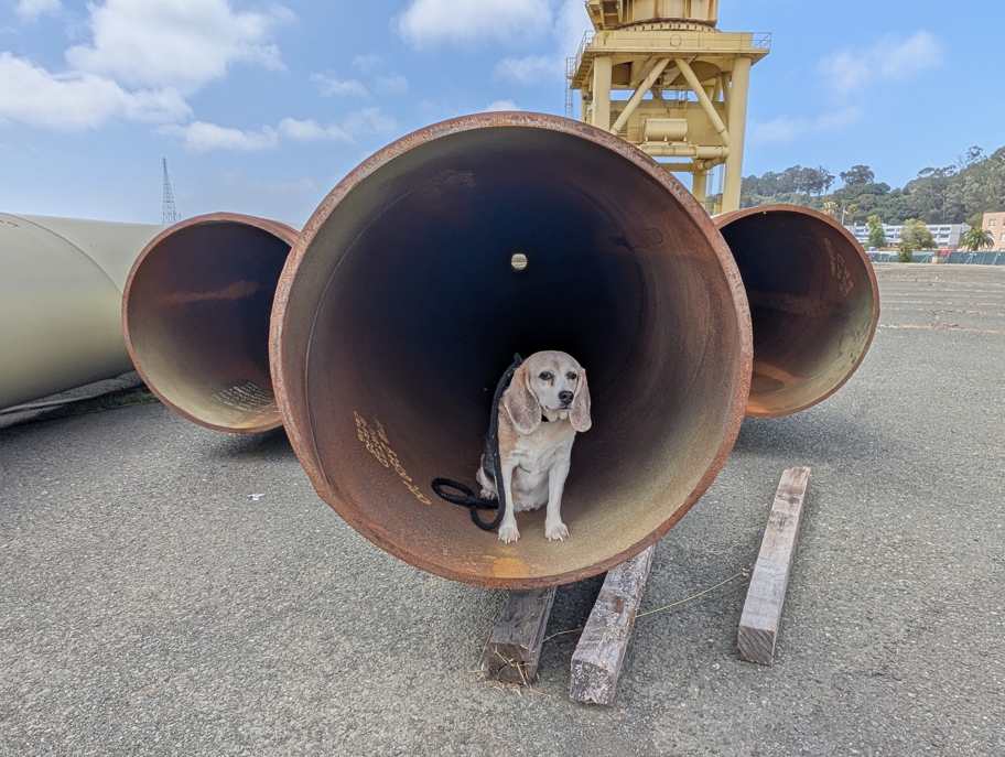Mare Island Naval Shipyard