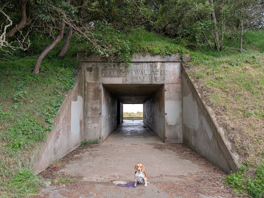 Battery Wallace