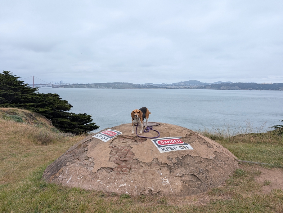Danger, keep off!
