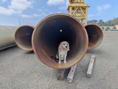 Mare Island Naval Shipyard