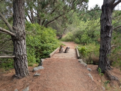 Rancho Corral de Tierra