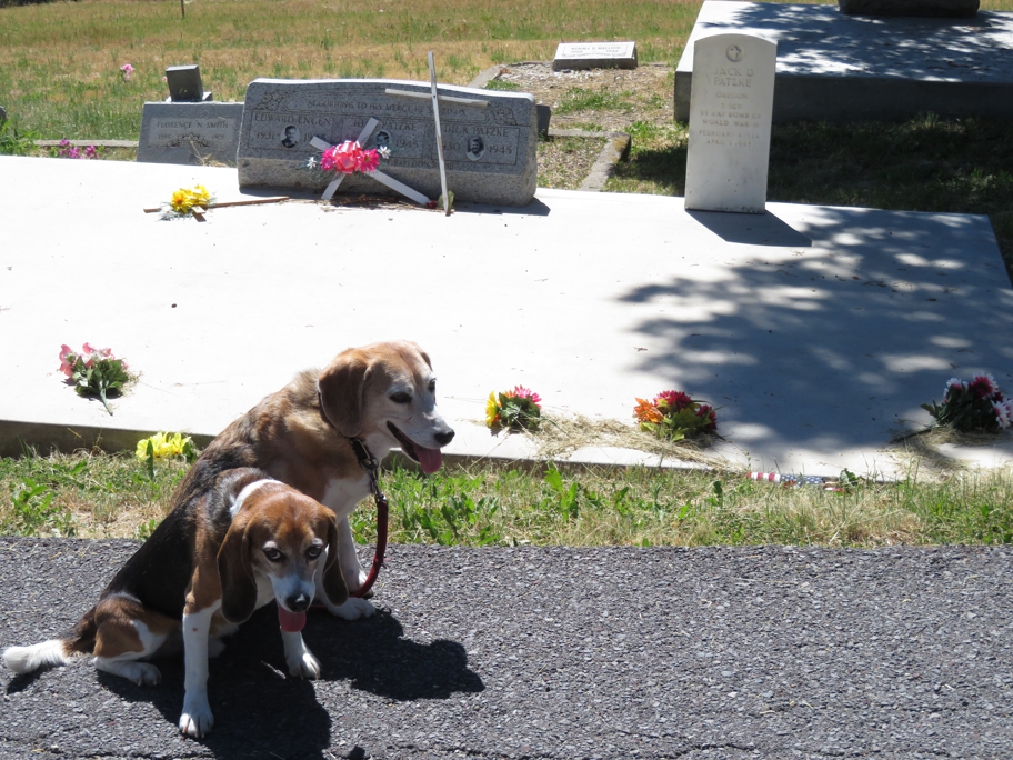 Grave of the balloon bomb victims