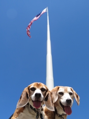 America's second tallest flagpole