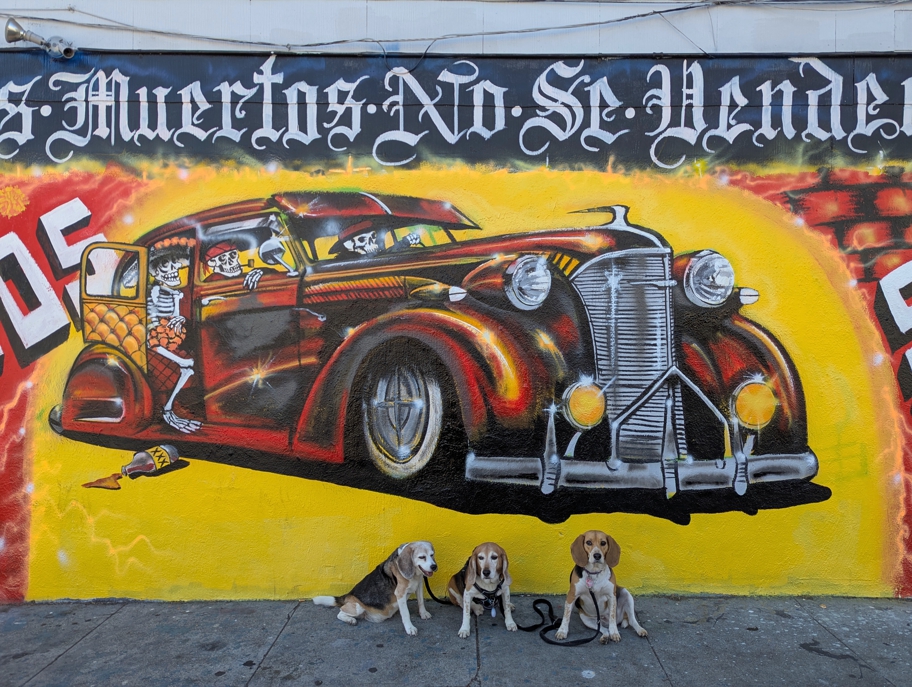 Low riders