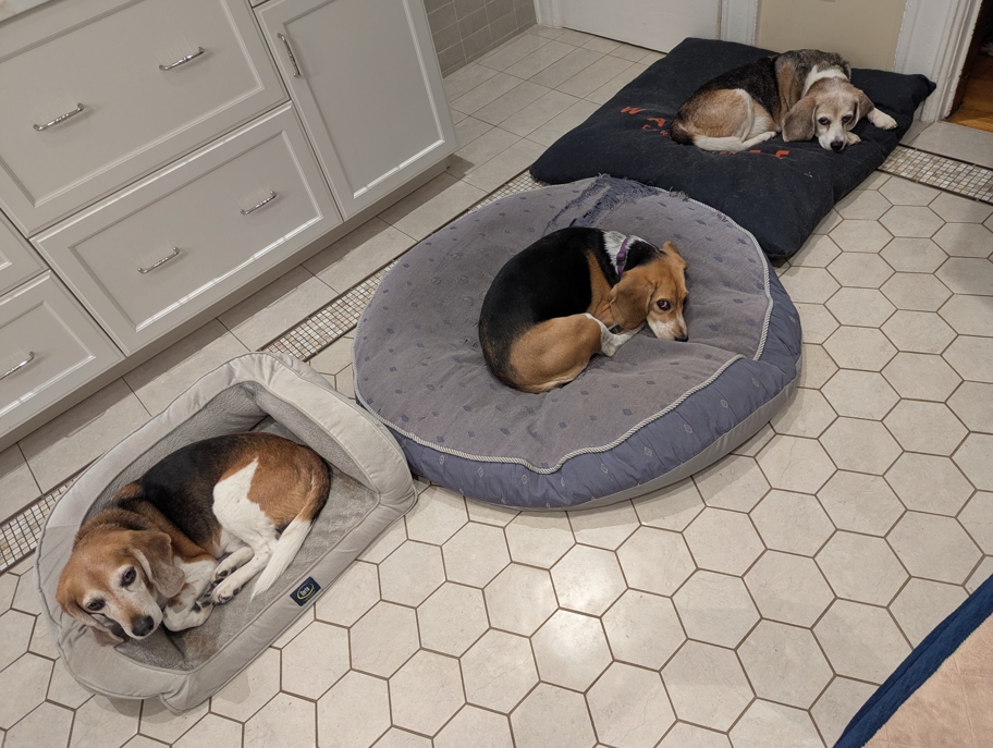 Last triple tricolor photo