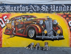 Low riders