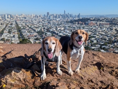 Bernal Hill