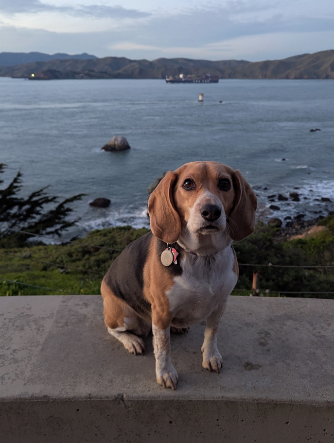 Lands End Trail view