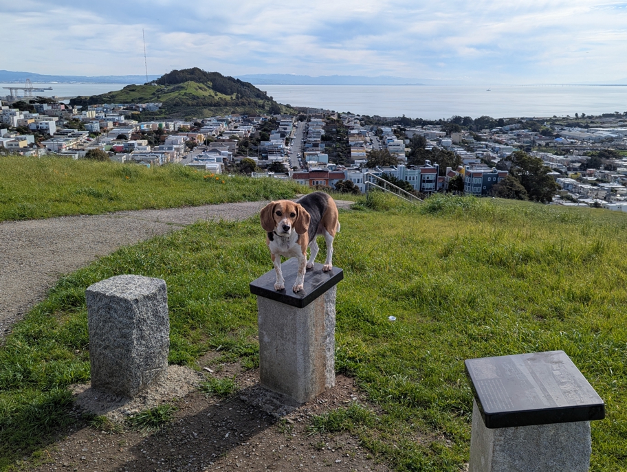 Philosopher's Way near Vis Valley