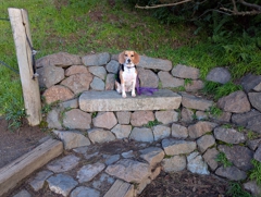 Lands End Trail bench