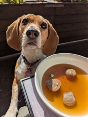 Restorative breakfast at Ben Tre