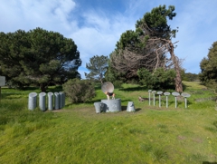 Orchestra for Natives of the Future