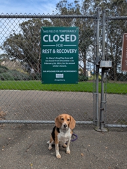 St. Mary's Dog Park